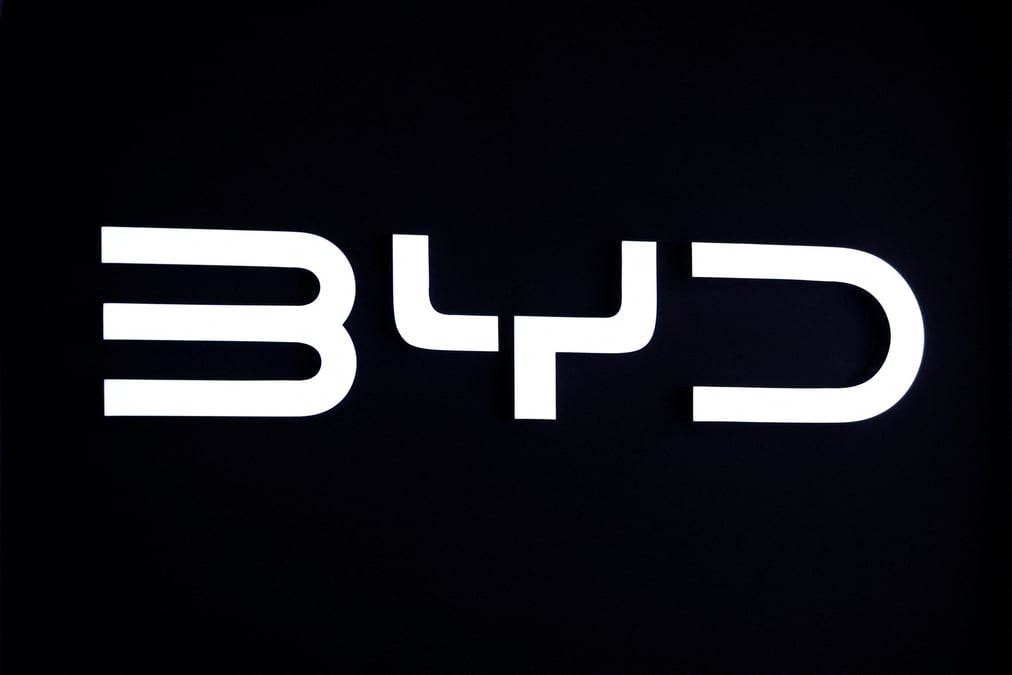 Vue du logo de byd