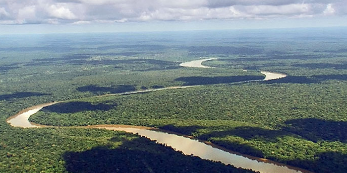 Bassin Congo