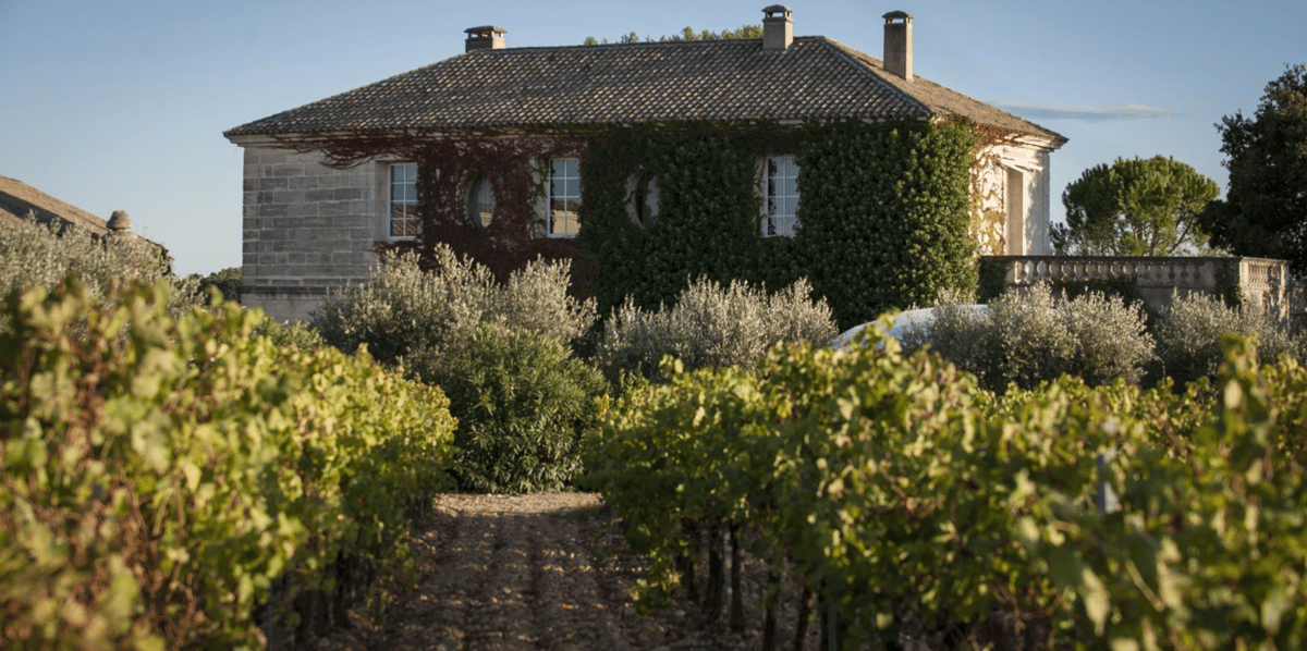 Château Puech Haut, à Saint-Drézéry (34)