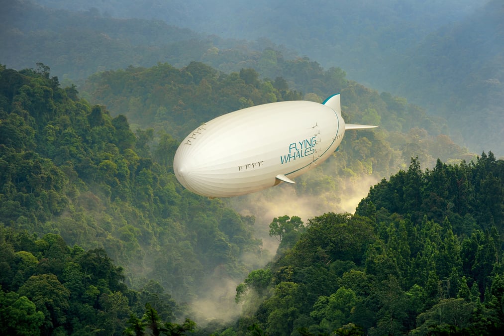 Flying Whales