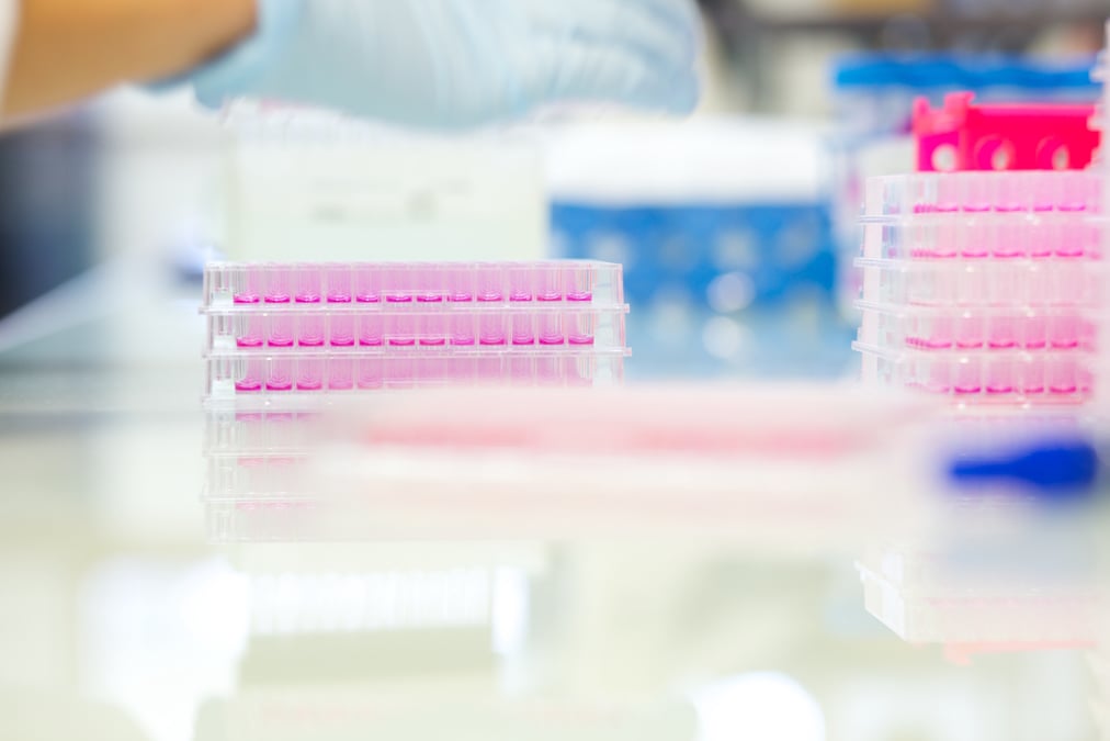 ImChecks Therapeutics