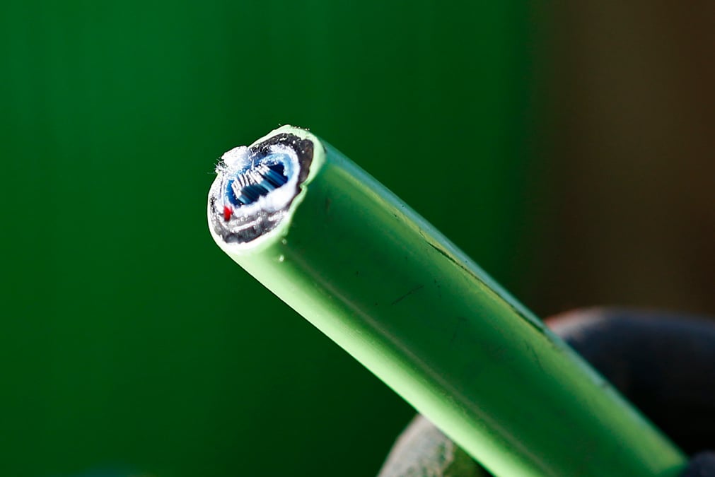 Cable dénudé de fibre optique / Internet, câble, optic fiber