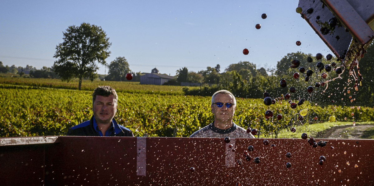 Vignobles Gabriel & Co