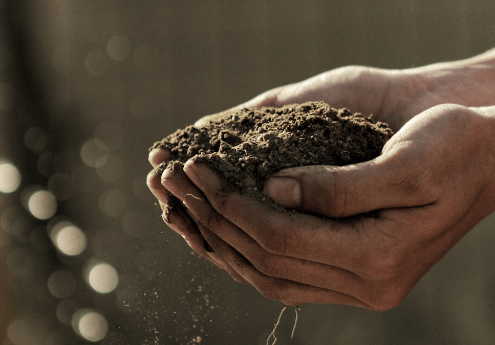 Agriculture