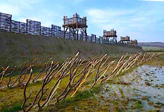 palissade