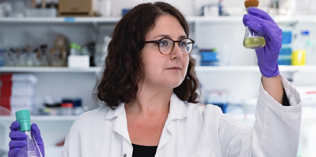 La chercheuse Giulia Cheloni, titulaire d'un doctorat en écotoxicologie, mène à l'UMR Marbec de Sète (laboratoire spécialisé sans la biodiversité marine) un projet qui a vocation à décrypter les interactions entre phytoplanctons et pollution.