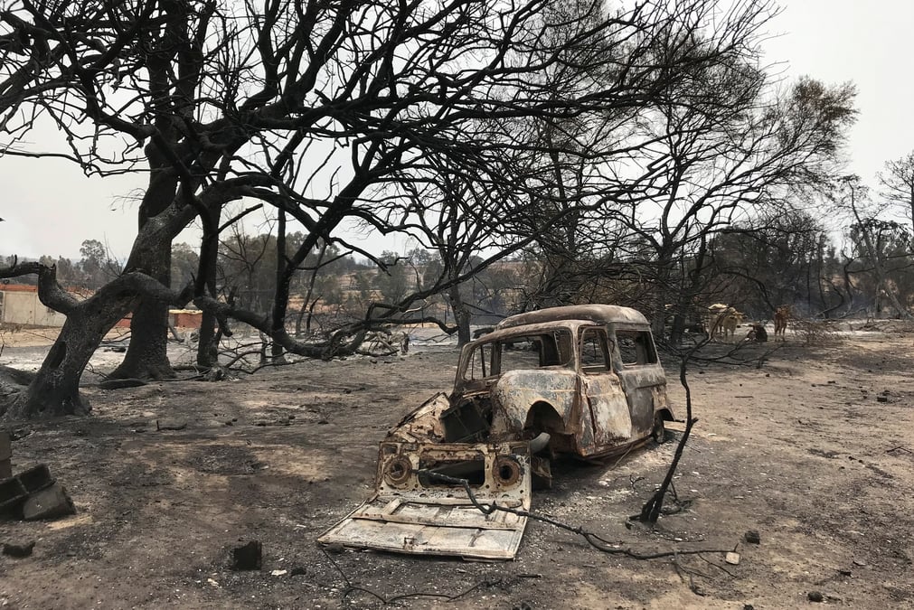 Le bilan des feux de foret en algerie s'alourdit a 37 morts