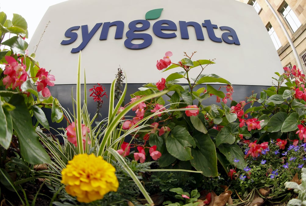 Syngenta veut ceder ses semences et racheter des actions