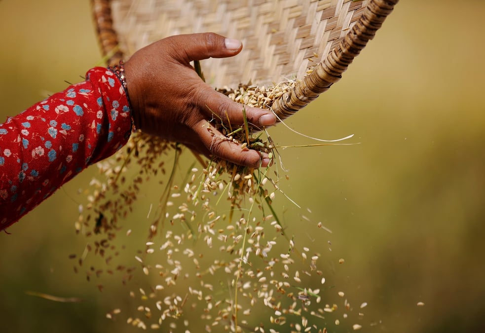La recherche est plus urgente encore maintenant, pour améliorer la façon dont nous cultivons, transformons et commercialisons les aliments.