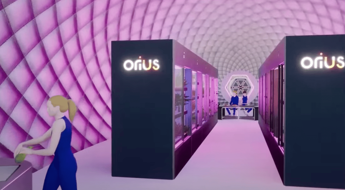 Orius