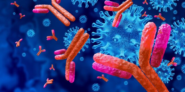 La biotech Mabqi développe un anticorps « first-in-class » pour le traitement du cancer de la prostate.