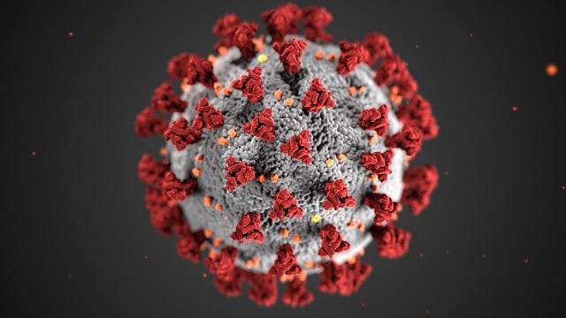 sars-cov-2 microorganism covid