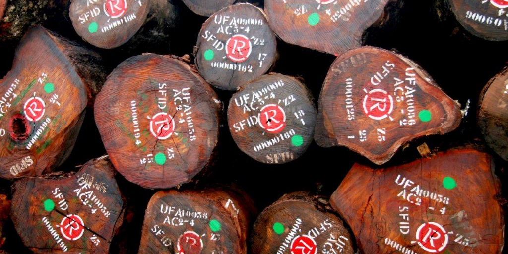 grumes bois rougier gabon