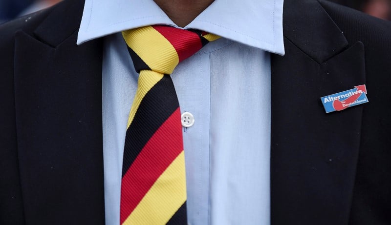 L'afd ne reedite pas ses bons resultats electoraux