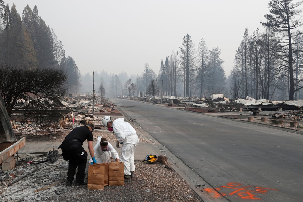 Incendie camp fire en californie: bilan de 88 morts, 196 disparus