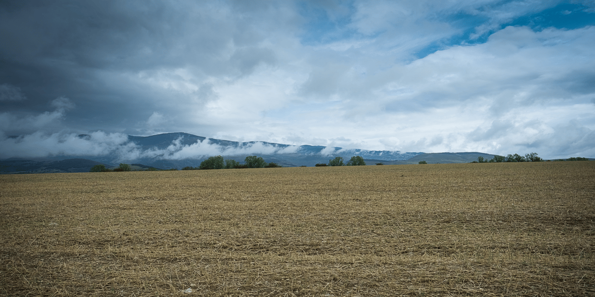 Foncier rural