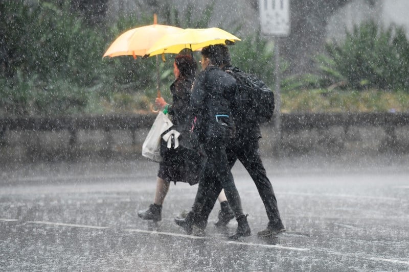 Australie: la cote est balayee par la pluie, un repit face aux incendies
