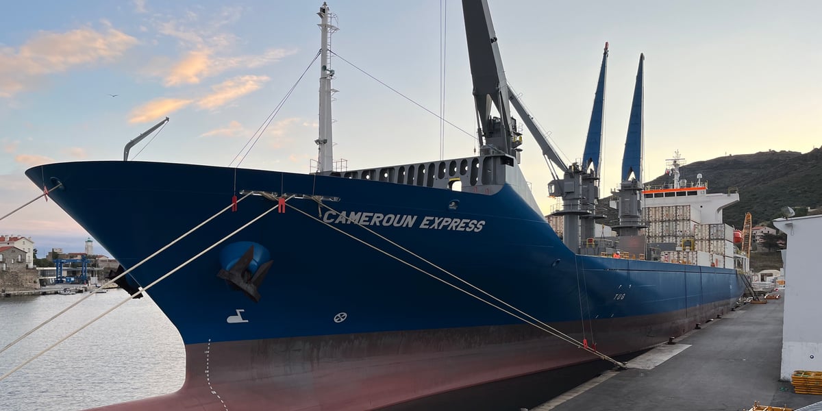 Présenté comme « plus compétitif et plus écologique », le Cameroun Express acquis par la Compagnie Fruitières pour le port de Port-Vendres va surtout permettre d'optimiser la capacité de charge et de gagner 12,5% en volumes de fruits.