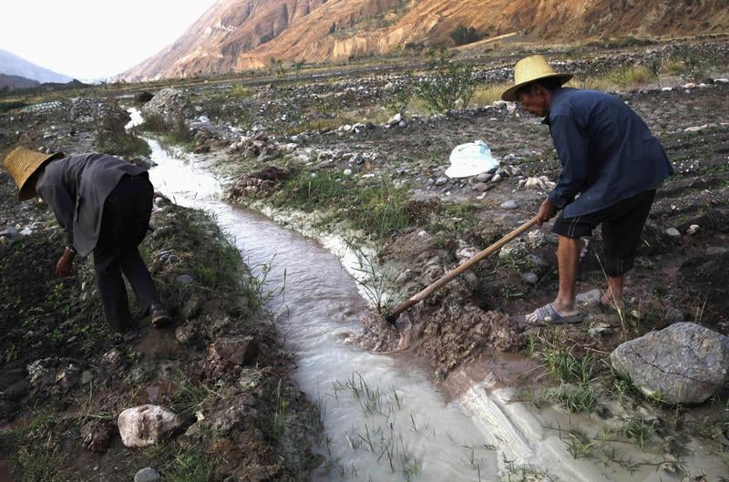 Sécurité alimentaire et environnement rural priorités de la Chine