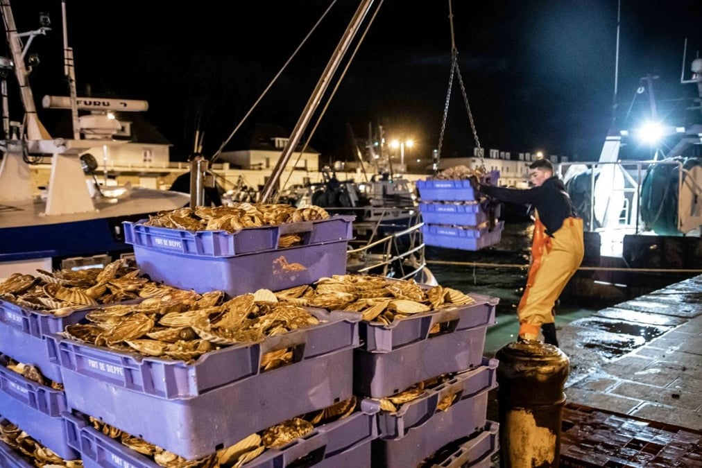 La coquille est la première espèce de la pêche française, en volume comme en valeur marchande, loin devant la sole ou le cabillaud.