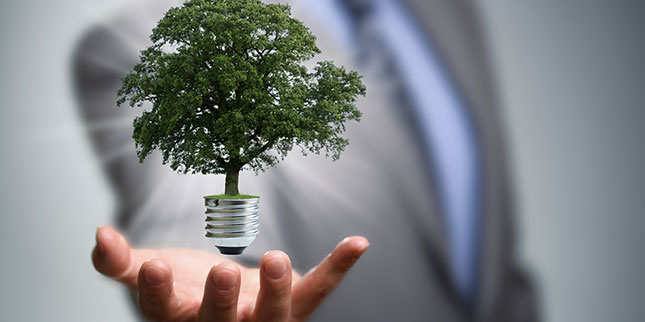 climat des affaires