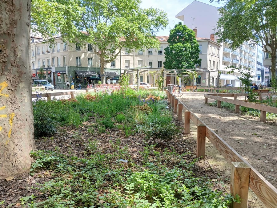 La place Danton, dans le 3e arrondissement de Lyon, a été complètement réaménagée à l'hiver 2023 : désormais, une pergola et des îlots végétalisés remplacent un ancien rond-point.