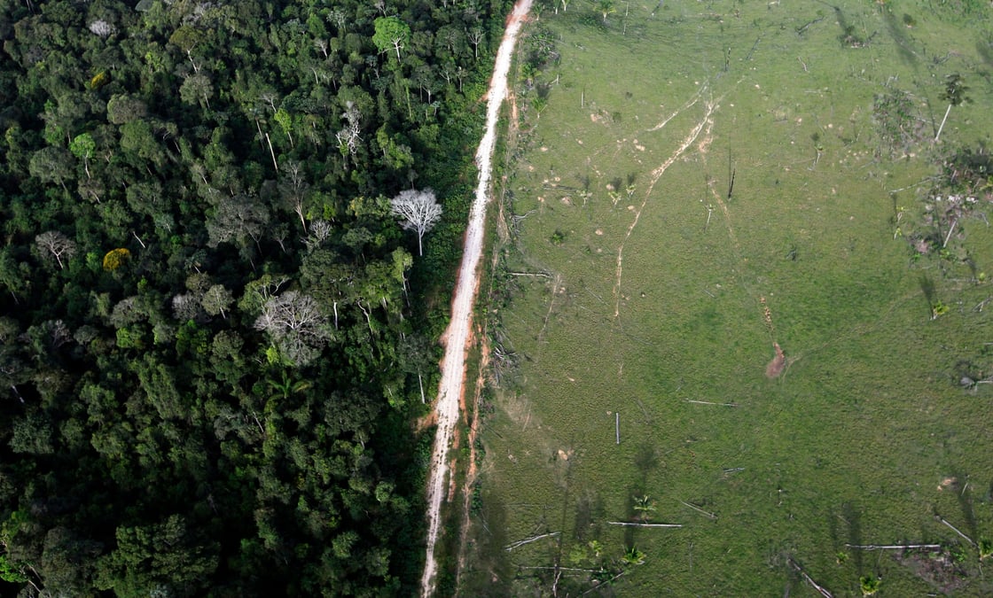 La deforestation en amazonie a augmente en 2020, selon une recente analyse