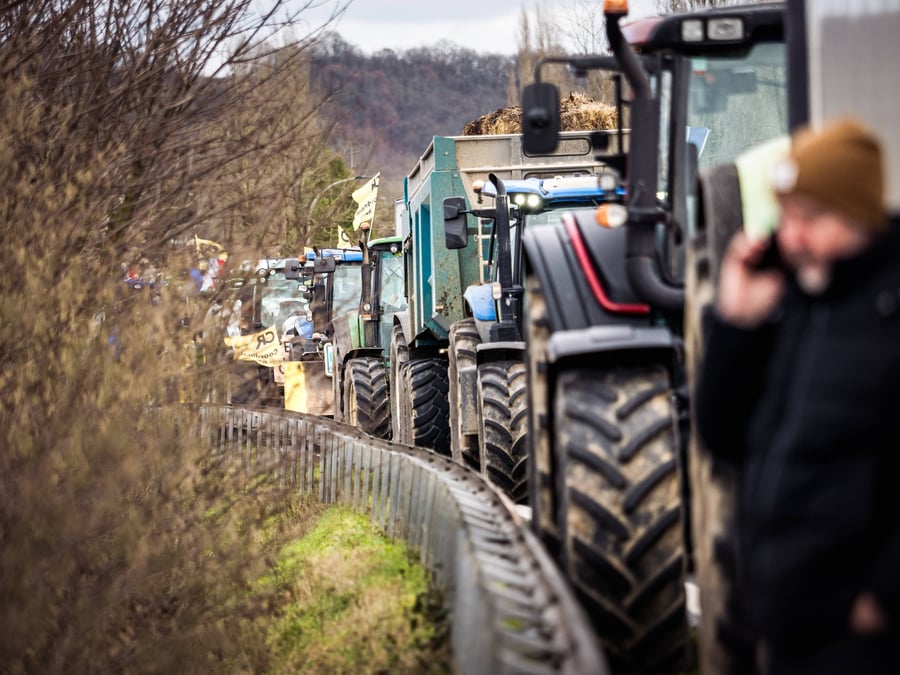 Les élections agricoles sont un moment décisif pour toute la filière. (Photo d'illustration)