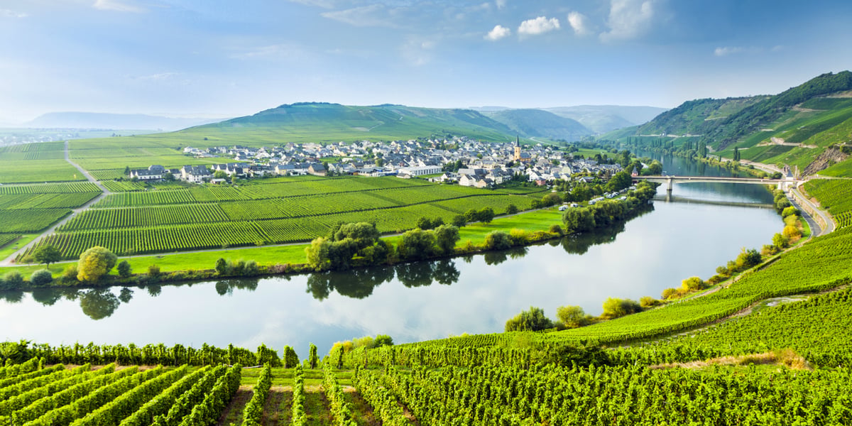 Au croisement du rapport de l'homme à la nature, une relation trop souvent conflictuelle, la ruralité offre un carrefour de progrès salvateur.