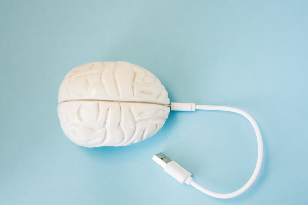 Neurosciences
