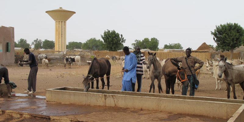 sénégal infrastructures village paysans