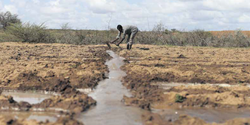 Agriculture terres irrigation labour