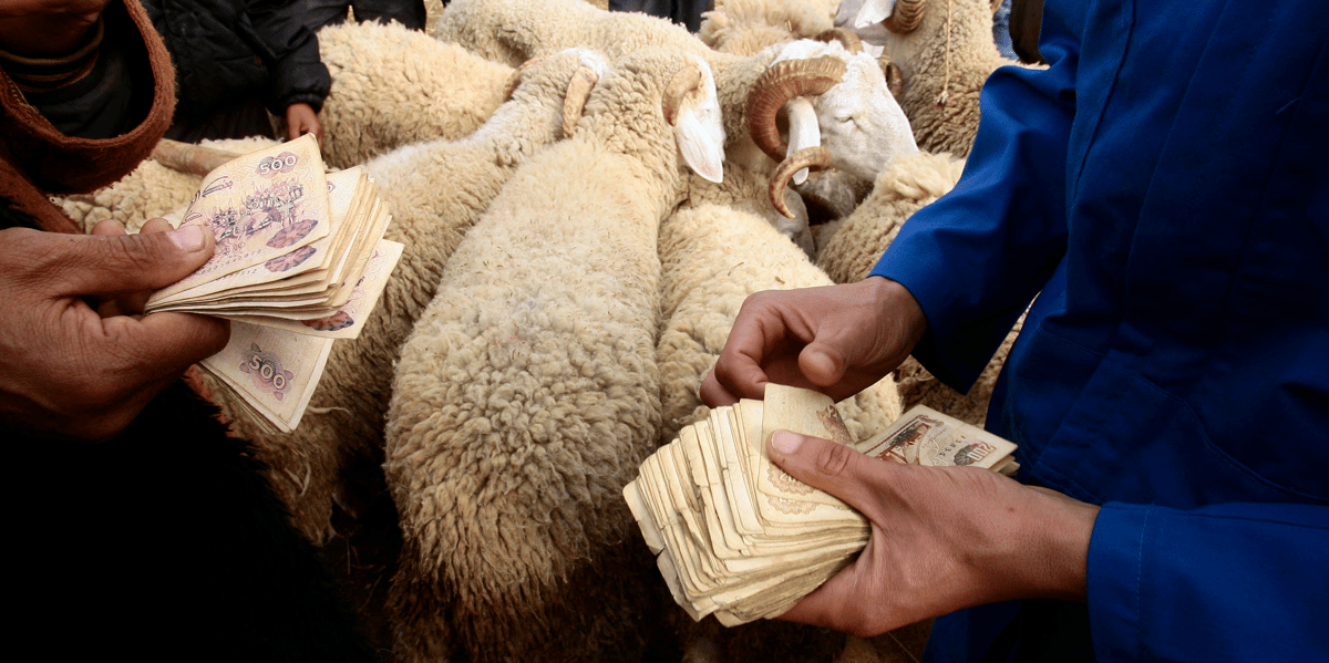 dinars algériens