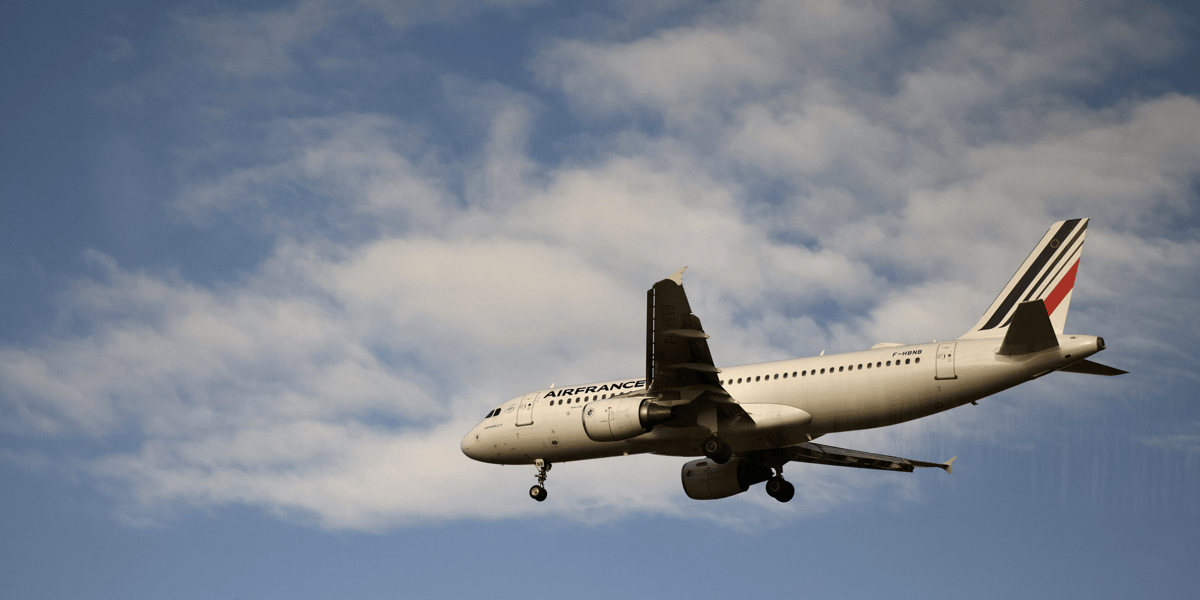 Un avion airbus a320 d'air france atterrit a l'aeroport charles de gaulle pres de paris