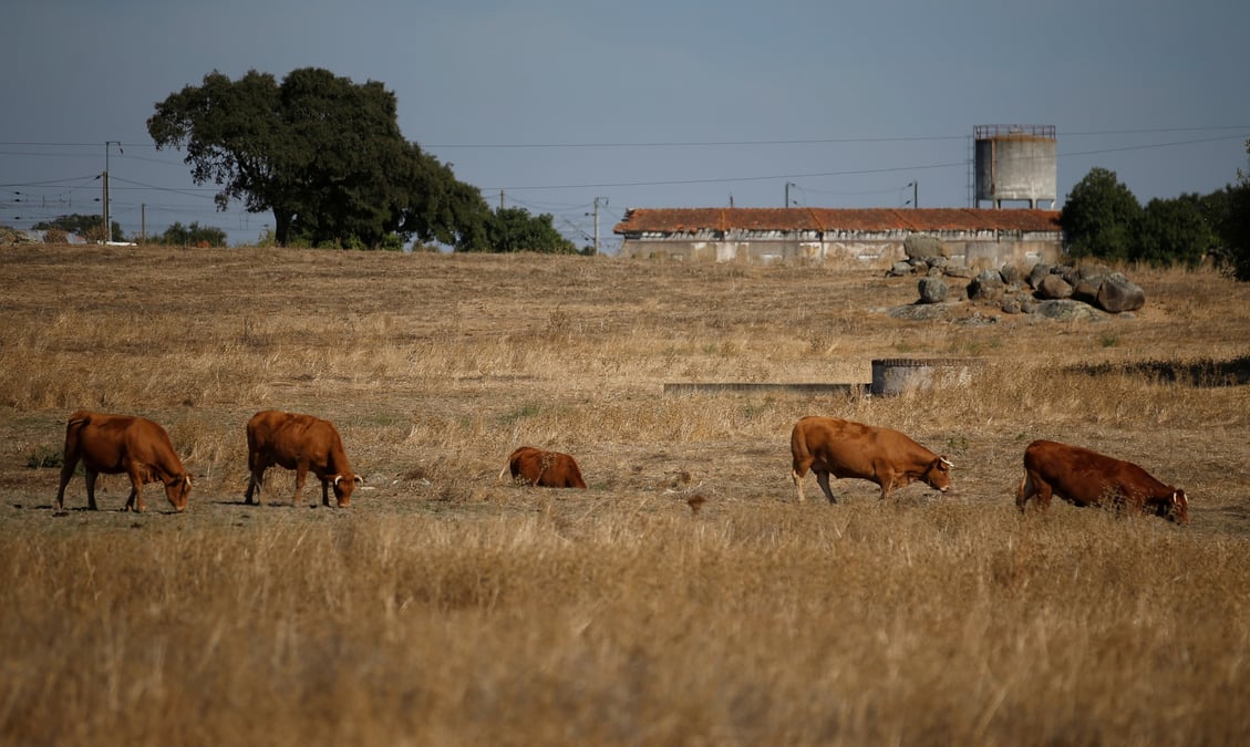 La region de l'alentejo, au portugal