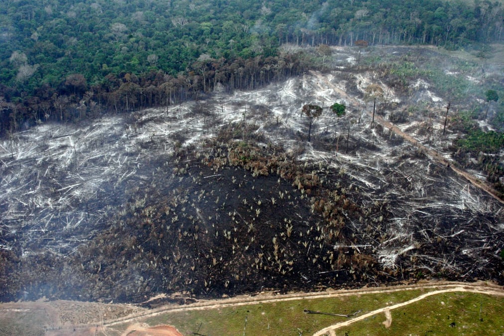 Déforestation