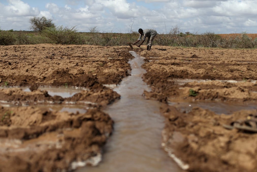 Un agriculteur travaille dans un champ irrigue, au somaliland