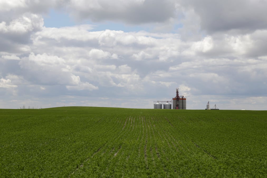 L'ocde espere une relance des reformes des politiques agricoles