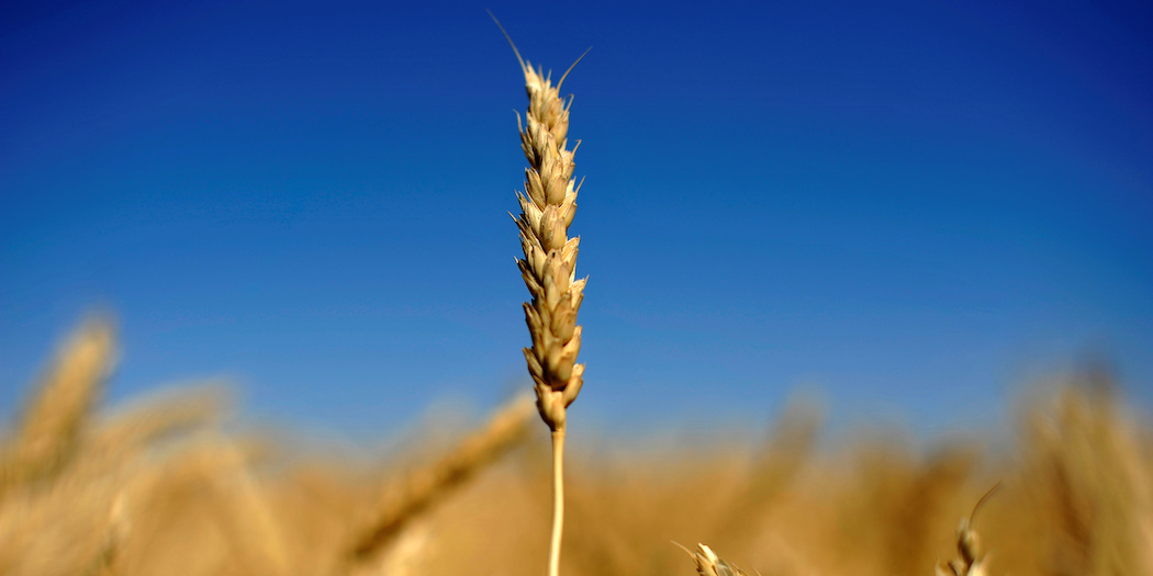 Illustration. L'étude sera publiée au premier semestre 2020 et diffusée lors du salon CFIA (Carrefour des fournisseurs des industries agroalimentaires).