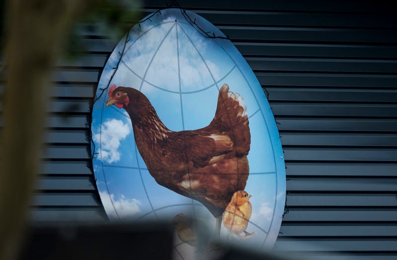Troisième foyer de grippe aviaire aux Pays-Bas