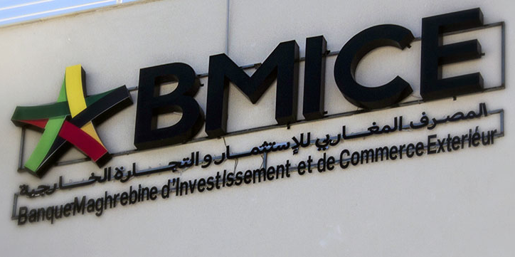 BMICE