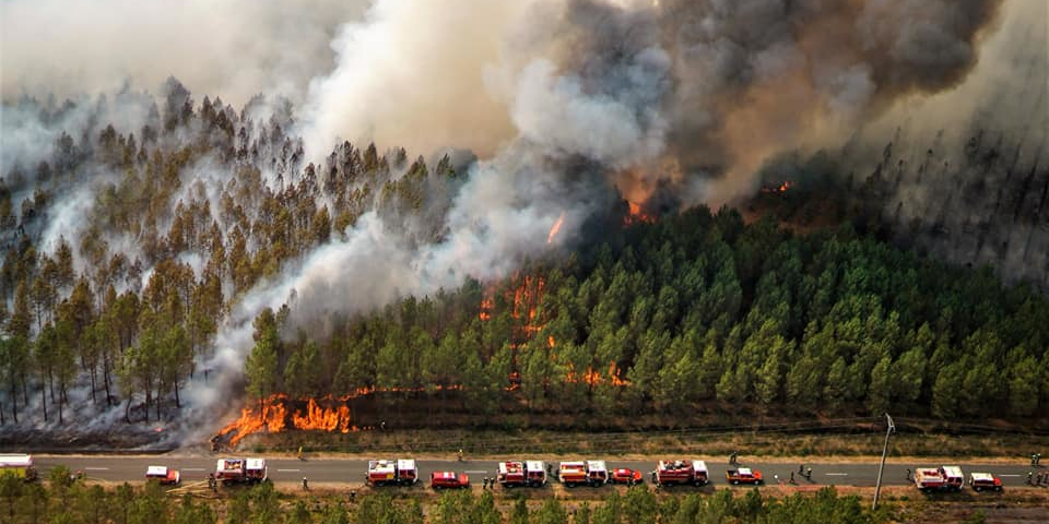 Incendie de Landiras. Reprise en août 2022