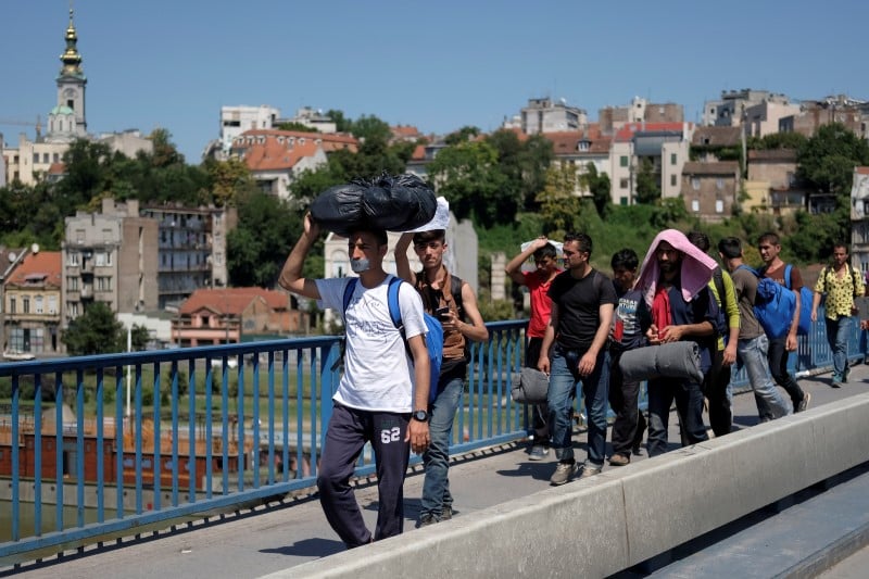 Des migrants marchent de la serbie vers la hongrie