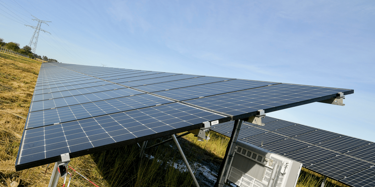 Les 22 hectares de la centrale solaire de Merle-Sud, en Gironde, seront partiellement entretenus par des moutons dans le cadre d'un accord de pâturage passé avec un éleveur local.