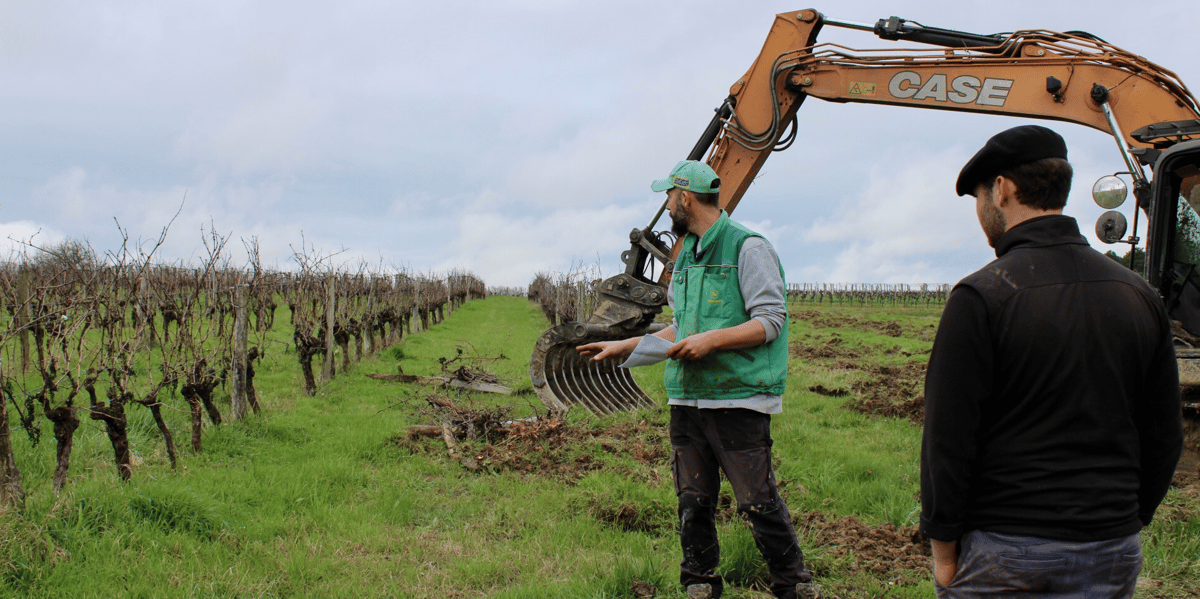 À Sauveterre-de-Guyenne, Bruno d'Amécourt, à droite, fait arracher des vignes âgées d'une quarantaine d'années le 29 février.