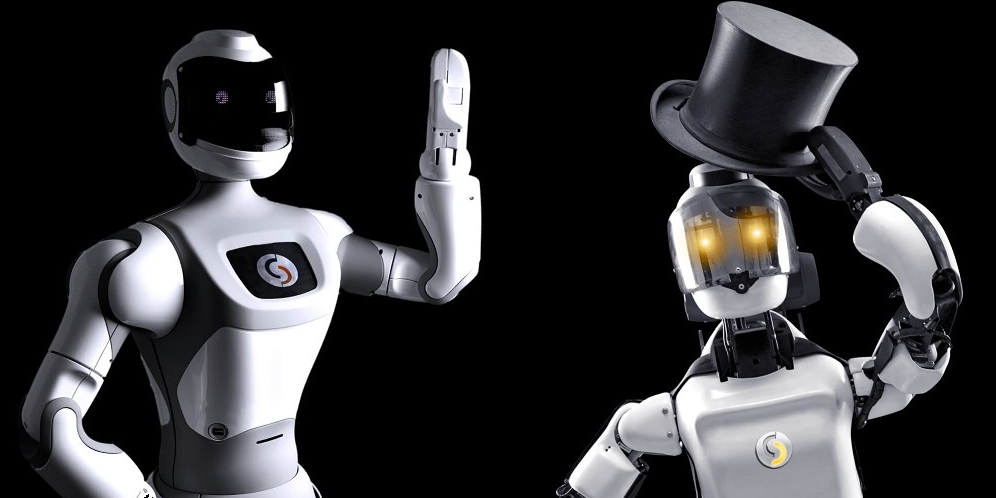 Cybedroïd prévoyait d'écouler 45 robots en 2020.