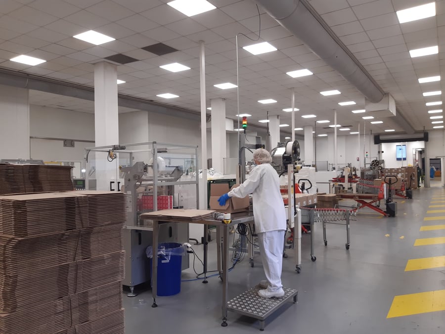 Pour faire tourner son usine et faire face à une envolée des prix de l'électricité, Havea prévoit de décarbonner son énergie.