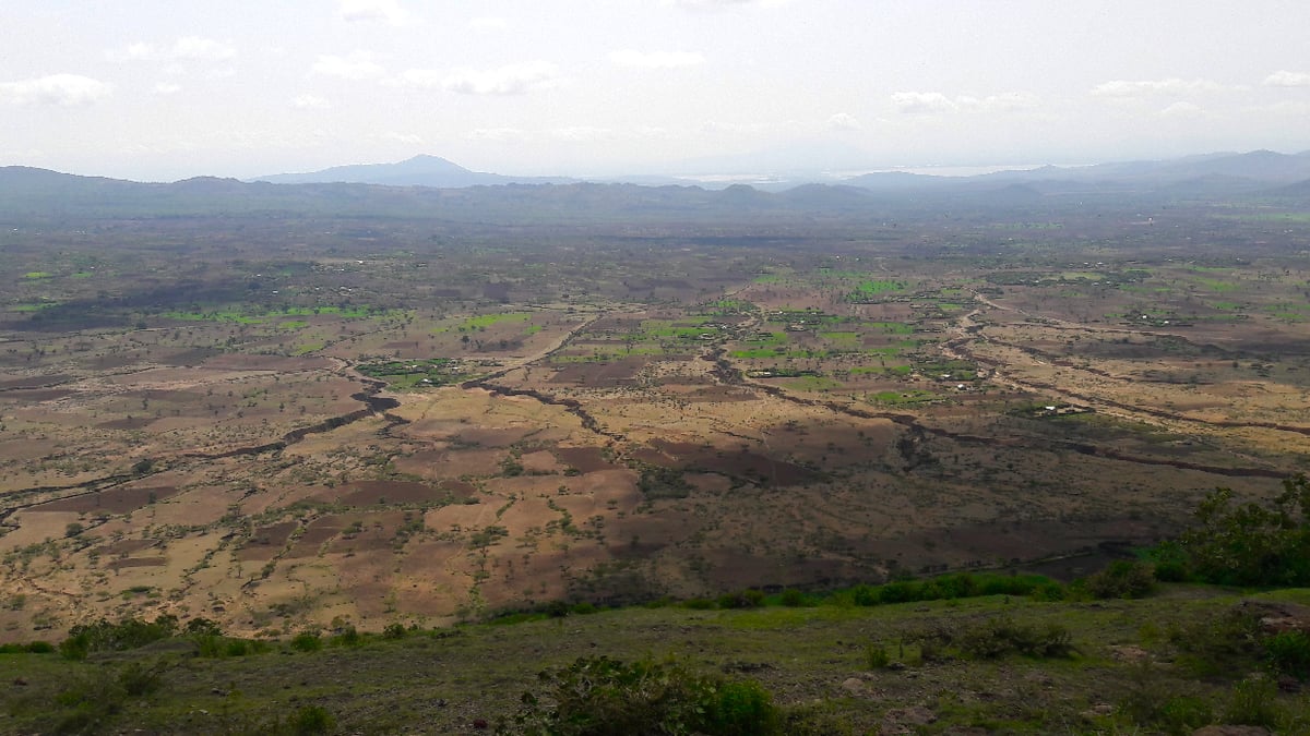 parc assela ethiopie