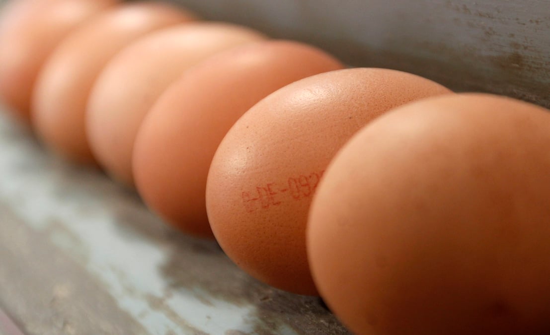 "Le coronavirus a eu un effet phénoménal" sur les ventes de la marque, avec "+380% pour les pâtes, +70% pour les oeufs, +40% pour le lait", a expliqué le fondateur de la marque, Nicolas Chabanne.