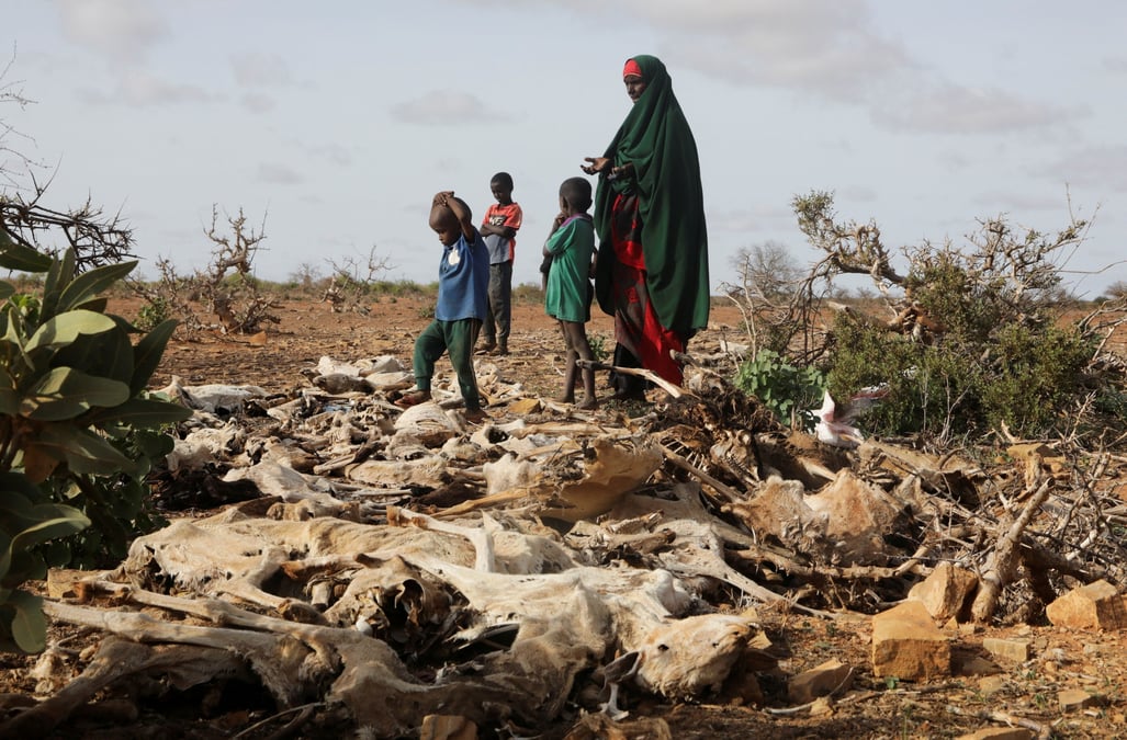 La corne de l'afrique menacee d'une 5e saison consecutive sans pluies suffisantes